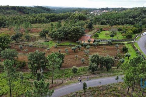 Byhus i Serta, Castelo Branco, Serta - € 350.000 | Ref: 147758 - foto 4