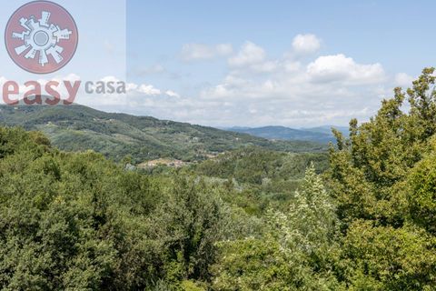 Landejendom i Lucca, Lucca, Lucca - € 480.000 | Ref: 1290 - foto 9
