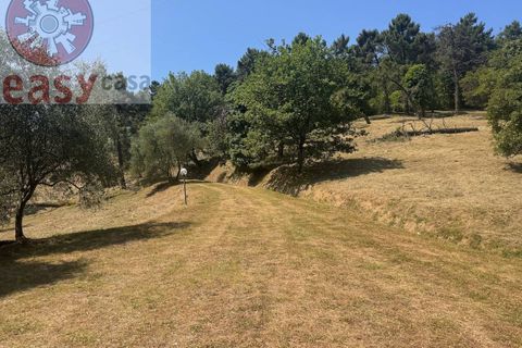 Landejendom i Lucca, Lucca, Lucca - € 480.000 | Ref: 1290 - foto 13