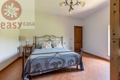 Landejendom i Lucca, Lucca, Lucca - € 480.000 | Ref: 1290 - foto 45