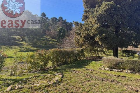 Landejendom i Lucca, Lucca, Lucca - € 480.000 | Ref: 1290 - foto 4