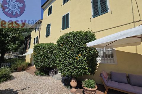 Masia a Massarosa, Lucca - foto 1