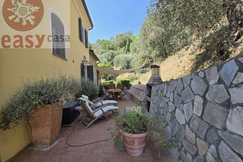 Landejendom i Massarosa, Lucca, Massarosa - € 1.250.000 | Ref: 1291 - foto 7