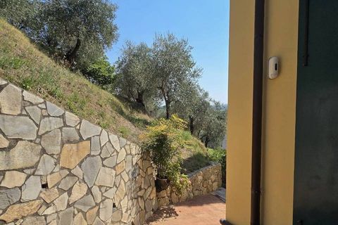Landejendom i Massarosa, Lucca, Massarosa - € 1.250.000 | Ref: 1291 - foto 33