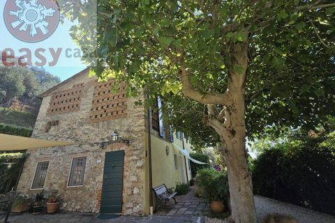 Landejendom i Massarosa, Lucca, Massarosa - € 1.250.000 | Ref: 1291 - foto 41