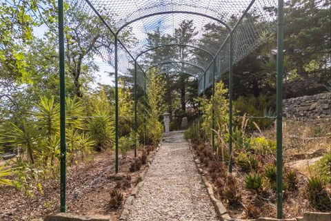 Villa a Faro, Faro, Faro - € 795.000 | Ref: SVP2416 - foto 32