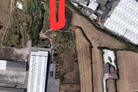 Helårsgrund i Sintra, Lisbon, Sintra - € 110.000 | Ref: C0283-01117 - foto 3