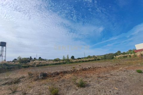 Helårsgrund i Sintra, Lisbon, Sintra - € 110.000 | Ref: C0283-01117 - foto 6