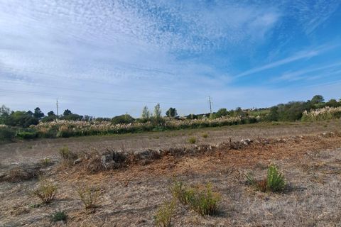 Helårsgrund i Sintra, Lisbon, Sintra - € 110.000 | Ref: C0283-01117 - foto 7