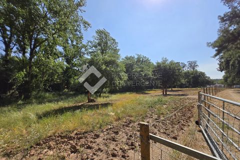 Farm i Setubal, Setubal, Setubal - € 750.000 | Ref: 335 - foto 4