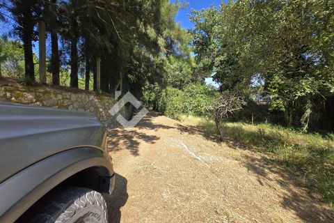 Farm i Setubal, Setubal, Setubal - € 750.000 | Ref: 335 - foto 5