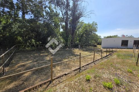 Farm i Setubal, Setubal, Setubal - € 750.000 | Ref: 335 - foto 7