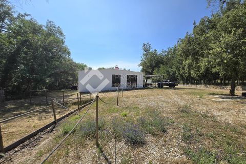 Farm i Setubal, Setubal, Setubal - € 750.000 | Ref: 335 - foto 8