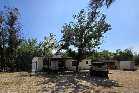Farm i Setubal, Setubal, Setubal - € 750.000 | Ref: 335 - foto 6