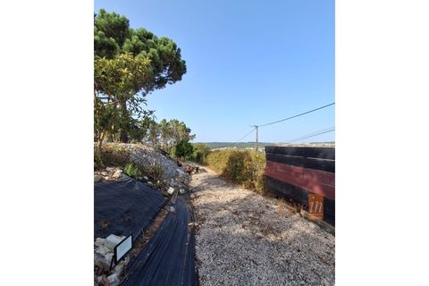 Villa i Mafra, Lisbon, Mafra - € 1.535.000 | Ref: 9750AA - foto 13