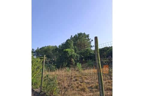 Villa i Mafra, Lisbon, Mafra - € 1.535.000 | Ref: 9750AA - foto 15