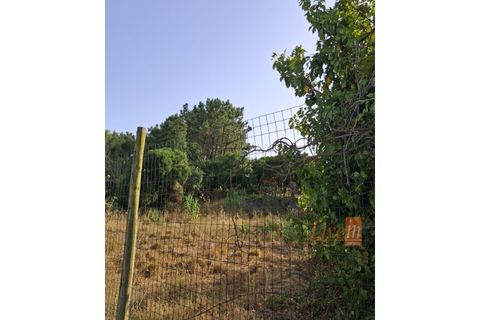 Villa i Mafra, Lisbon, Mafra - € 1.535.000 | Ref: 9750AA - foto 16