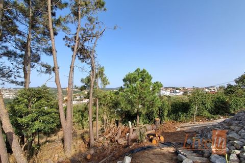 Villa i Mafra, Lisbon, Mafra - € 1.535.000 | Ref: 9750AA - foto 19