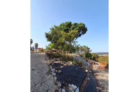 Villa i Mafra, Lisbon, Mafra - € 1.535.000 | Ref: 9750AA - foto 20