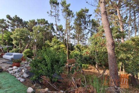 Villa i Mafra, Lisbon, Mafra - € 1.535.000 | Ref: 9750AA - foto 25
