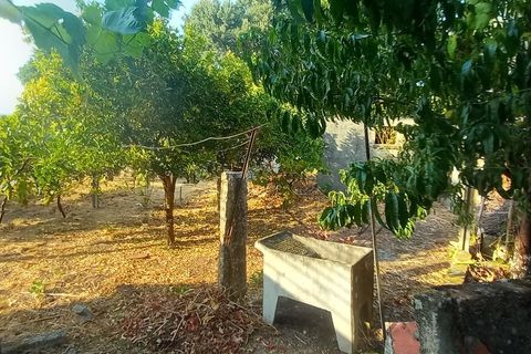 Villa a Bela, Viana do Castelo, Bela - € 109.000 | Ref: SF-SAFTI:007110 - foto 3
