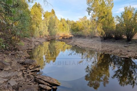 Villa i Ourique, Beja, Ourique - € 135.000 | Ref: M5-004.25 - foto 2