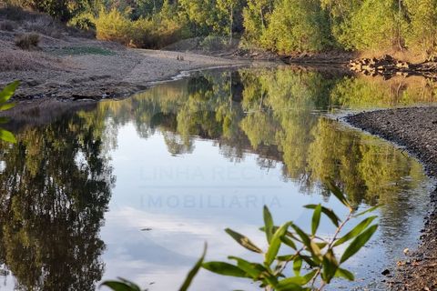 Villa i Ourique, Beja, Ourique - € 135.000 | Ref: M5-004.25 - foto 3