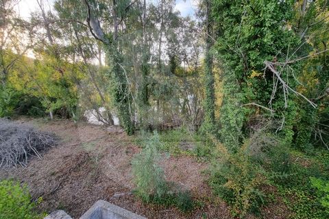 Villa i Ourique, Beja, Ourique - € 135.000 | Ref: M5-004.25 - foto 10