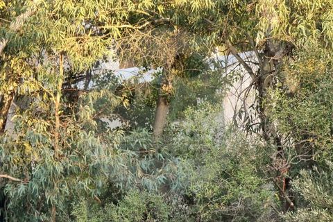 Villa i Ourique, Beja, Ourique - € 135.000 | Ref: M5-004.25 - foto 12