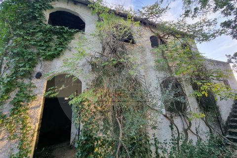 Villa i Ourique, Beja, Ourique - € 135.000 | Ref: M5-004.25 - foto 14