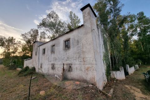 Villa i Ourique, Beja, Ourique - € 135.000 | Ref: M5-004.25 - foto 15