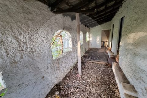 Villa i Ourique, Beja, Ourique - € 135.000 | Ref: M5-004.25 - foto 20