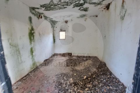 Villa i Ourique, Beja, Ourique - € 135.000 | Ref: M5-004.25 - foto 21