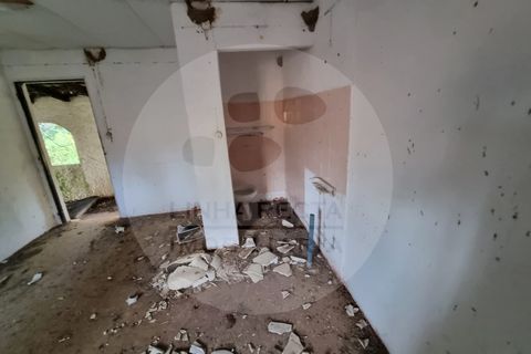 Villa i Ourique, Beja, Ourique - € 135.000 | Ref: M5-004.25 - foto 22