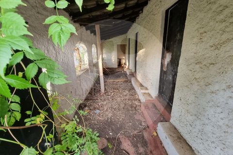 Villa i Ourique, Beja, Ourique - € 135.000 | Ref: M5-004.25 - foto 29