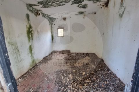 Villa i Ourique, Beja, Ourique - € 135.000 | Ref: M5-004.25 - foto 30