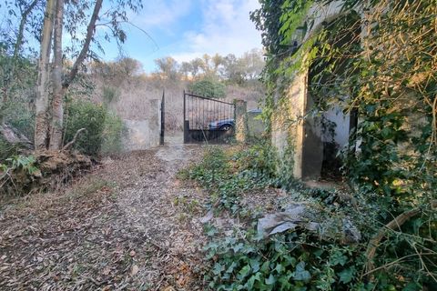 Villa i Ourique, Beja, Ourique - € 135.000 | Ref: M5-004.25 - foto 34