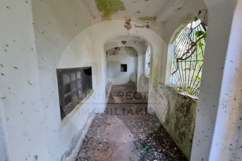 Villa i Ourique, Beja, Ourique - € 135.000 | Ref: M5-004.25 - foto 35