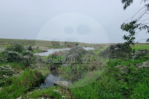 Villa i Ourique, Beja, Ourique - € 80.000 | Ref: M5-005.25 - foto 4