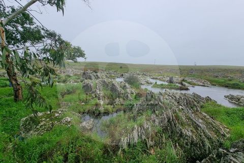 Villa i Ourique, Beja, Ourique - € 80.000 | Ref: M5-005.25 - foto 5
