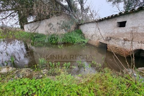 Villa i Ourique, Beja, Ourique - € 80.000 | Ref: M5-005.25 - foto 6