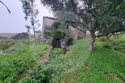 Villa i Ourique, Beja, Ourique - € 80.000 | Ref: M5-005.25 - foto 9