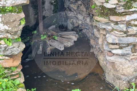 Villa i Ourique, Beja, Ourique - € 80.000 | Ref: M5-005.25 - foto 13