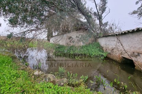 Villa i Ourique, Beja, Ourique - € 80.000 | Ref: M5-005.25 - foto 20