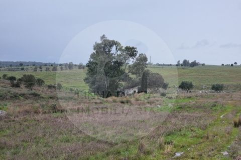 Villa i Ourique, Beja, Ourique - € 80.000 | Ref: M5-005.25 - foto 21