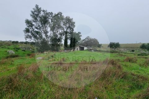 Villa i Ourique, Beja, Ourique - € 80.000 | Ref: M5-005.25 - foto 22