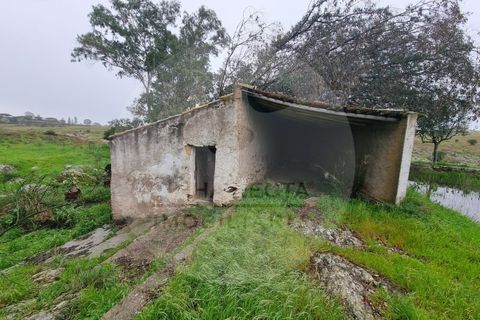 Villa i Ourique, Beja, Ourique - € 80.000 | Ref: M5-005.25 - foto 23