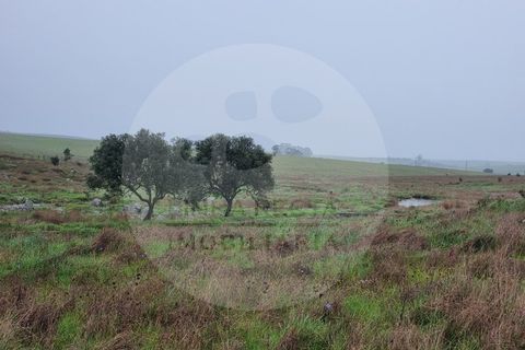 Villa i Ourique, Beja, Ourique - € 80.000 | Ref: M5-005.25 - foto 27