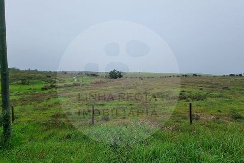 Villa i Ourique, Beja, Ourique - € 80.000 | Ref: M5-005.25 - foto 30