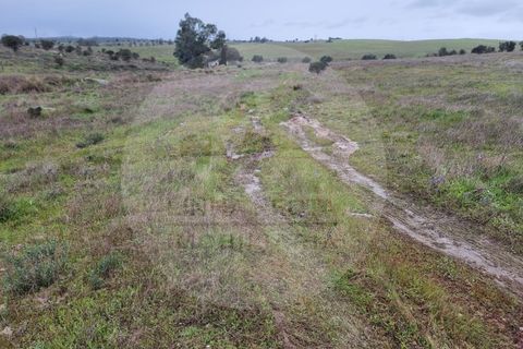 Villa i Ourique, Beja, Ourique - € 80.000 | Ref: M5-005.25 - foto 32